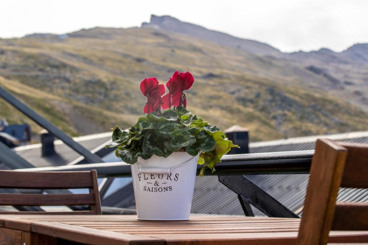 Trebol Apartment Sierra Nevada Bagian luar foto